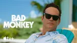 bad monkey