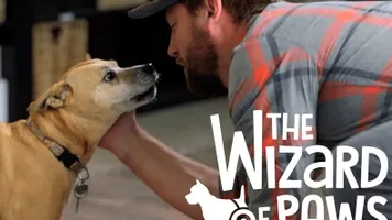 The Wizard of Paws