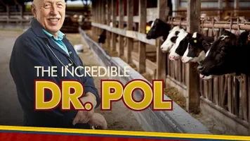 increddrpol
