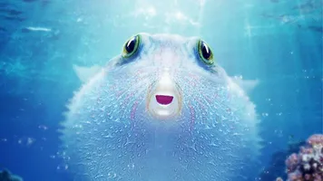 Puff: Wonders of the Reef