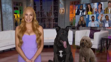 Worlds funniest animals